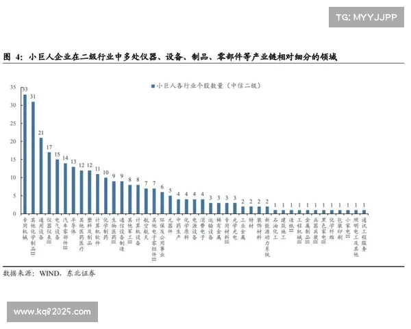 体育制造业迈向专精特新路径 强化产业链协同效能 体育制造业迈向专精特新路径 强化产业链协同效能